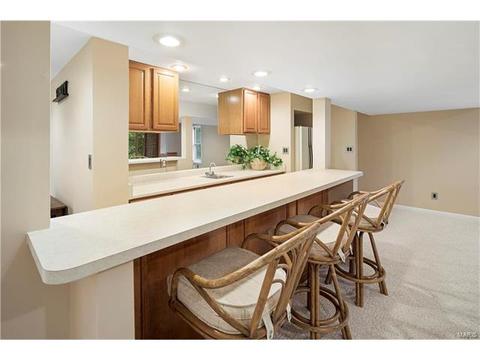 16244 Berry Vw, Wildwood, MO 63011 photo 23