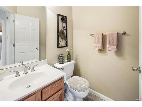 16244 Berry Vw, Wildwood, MO 63011 photo 14