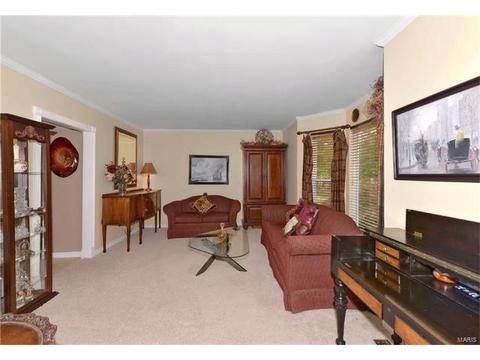 16751 Babler View Dr, Wildwood, MO 63011 photo 13