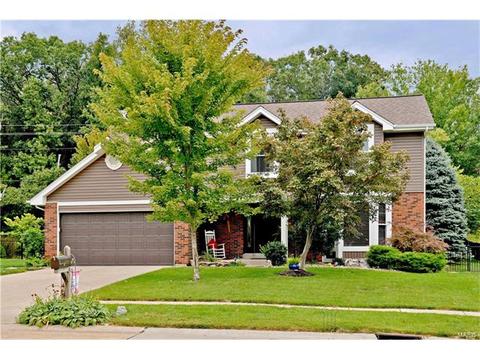 16751 Babler View Dr, Wildwood, MO 63011 photo 1