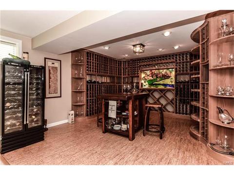 16795 Baxter Pointe Ct, Chesterfield, MO 63005 photo 41