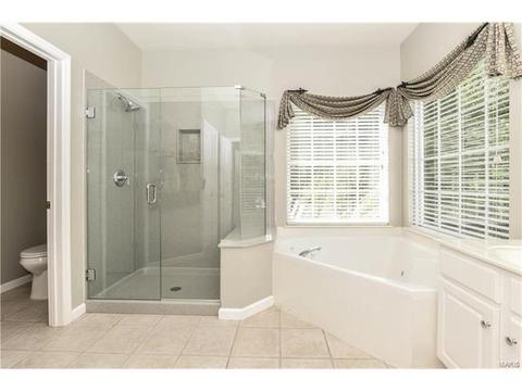 16795 Baxter Pointe Ct, Chesterfield, MO 63005 photo 25