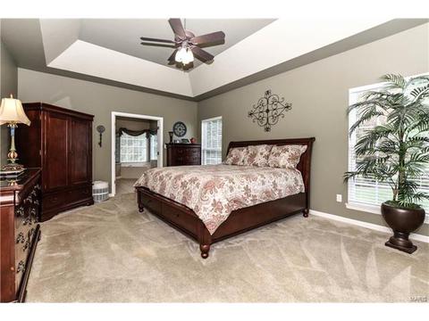 16795 Baxter Pointe Ct, Chesterfield, MO 63005 photo 21