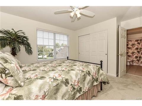 16795 Baxter Pointe Ct, Chesterfield, MO 63005 photo 29