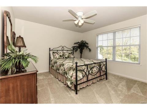 16795 Baxter Pointe Ct, Chesterfield, MO 63005 photo 28