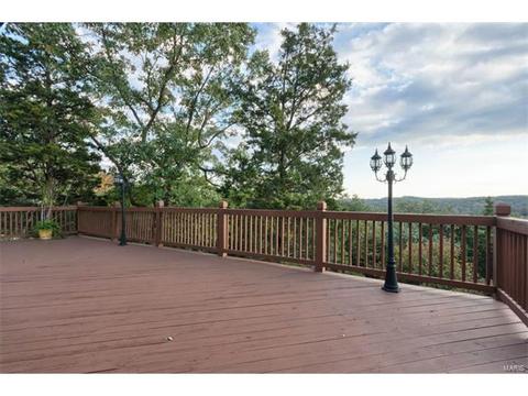 17321 Thunder Crk, Wildwood, MO 63025 photo 43