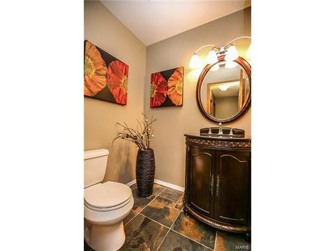 17321 Thunder Crk, Wildwood, MO 63025 photo 13