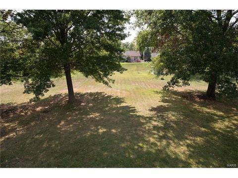 476 Tumulty Dr, Ballwin, MO 63021 photo 20