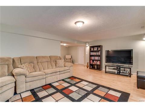 476 Tumulty Dr, Ballwin, MO 63021 photo 29