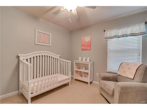 476 Tumulty Dr, Ballwin, MO 63021 photo 25