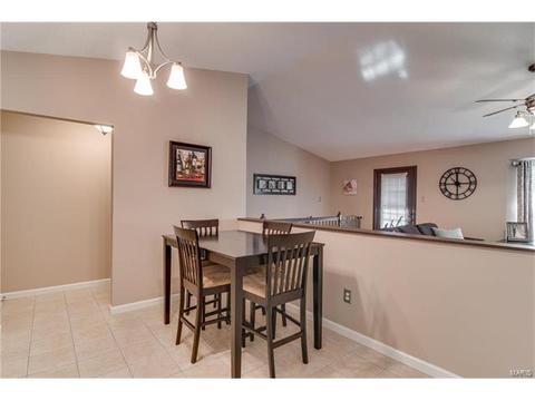 476 Tumulty Dr, Ballwin, MO 63021 photo 8