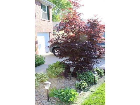 6 Westbrooke Ter, Ballwin, MO 63021 photo 5