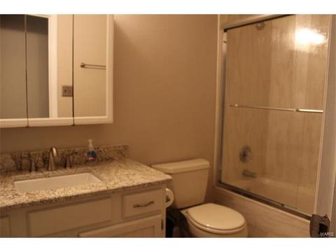 6 Westbrooke Ter, Ballwin, MO 63021 photo 22