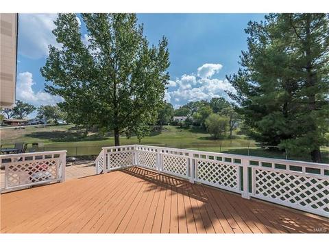 542 Stoddards Mill Dr, Ballwin, MO 63011 photo 26