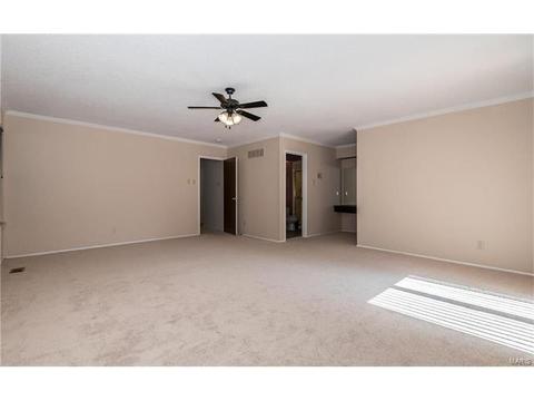 542 Stoddards Mill Dr, Ballwin, MO 63011 photo 18