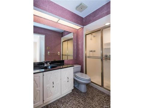 542 Stoddards Mill Dr, Ballwin, MO 63011 photo 20