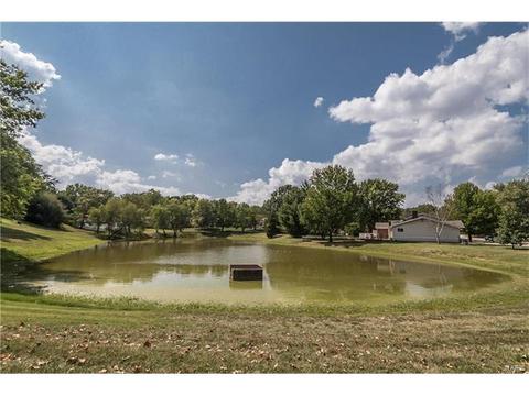 542 Stoddards Mill Dr, Ballwin, MO 63011 photo 30