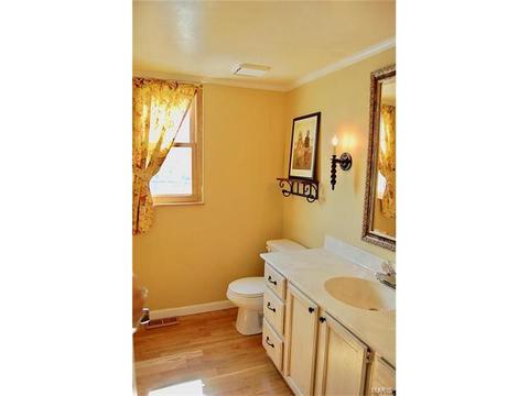 3 Castlio Ct, Saint Charles, MO 63304 photo 16
