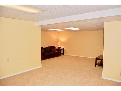 3 Castlio Ct, Saint Charles, MO 63304 photo 32