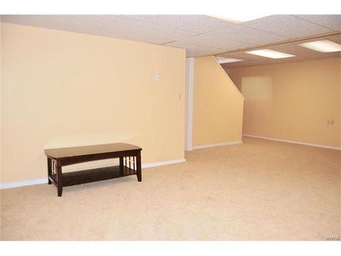 3 Castlio Ct, Saint Charles, MO 63304 photo 33