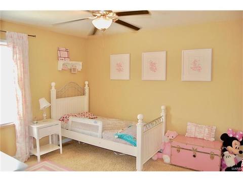 3 Castlio Ct, Saint Charles, MO 63304 photo 30