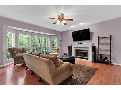 411 Pine Hollow Ct, Ballwin, MO 63021 photo 6