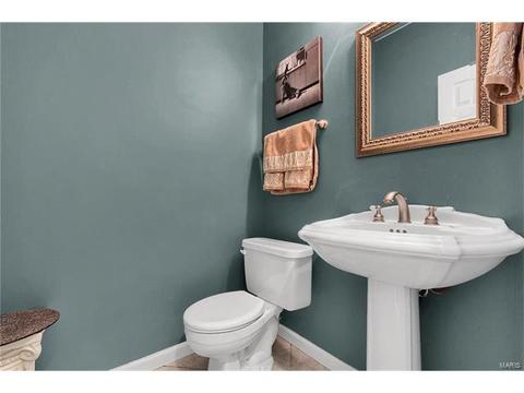 411 Pine Hollow Ct, Ballwin, MO 63021 photo 12