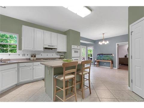 411 Pine Hollow Ct, Ballwin, MO 63021 photo 10