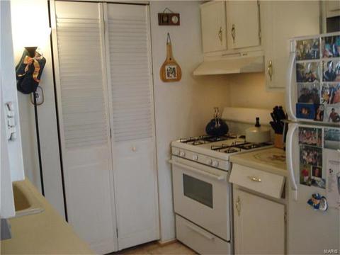 409 Chamberlin Dr, Ballwin, MO 63021 photo 5