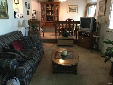 409 Chamberlin Dr, Ballwin, MO 63021 photo 10