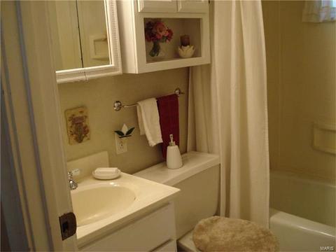 409 Chamberlin Dr, Ballwin, MO 63021 photo 11