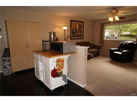 242 Howard Dr, Ballwin, MO 63021 photo 5