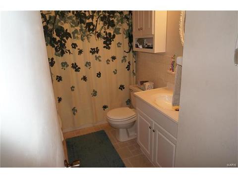 242 Howard Dr, Ballwin, MO 63021 photo 8