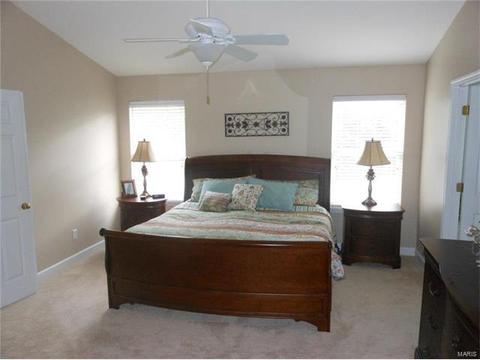 373 Carr Mnr, Ballwin, MO 63021 photo 18