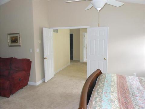 373 Carr Mnr, Ballwin, MO 63021 photo 21
