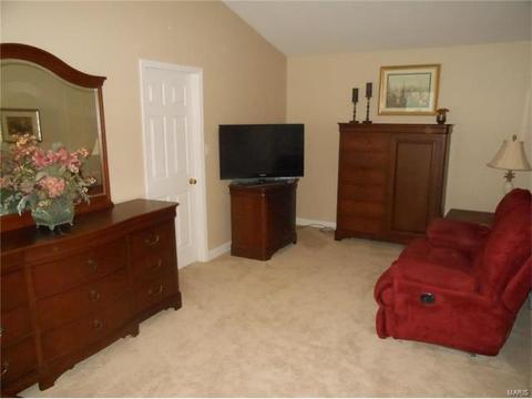 373 Carr Mnr, Ballwin, MO 63021 photo 19