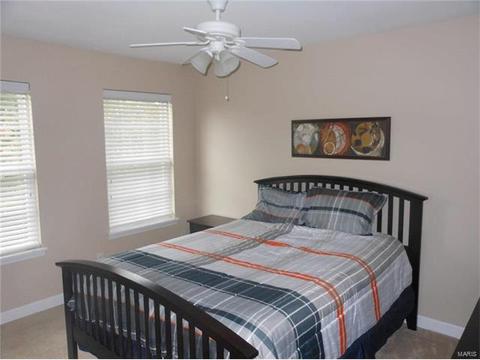 373 Carr Mnr, Ballwin, MO 63021 photo 23