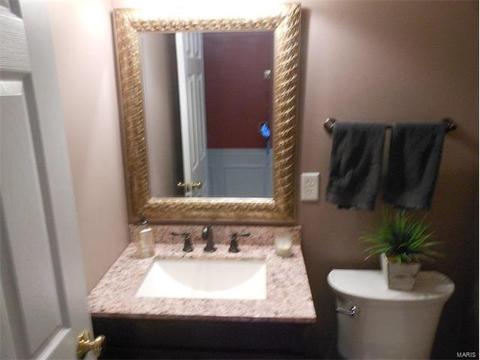 373 Carr Mnr, Ballwin, MO 63021 photo 26