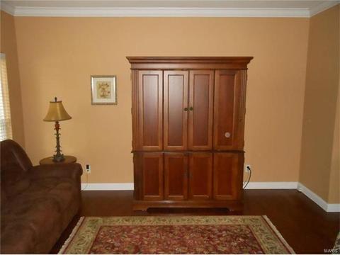 373 Carr Mnr, Ballwin, MO 63021 photo 11