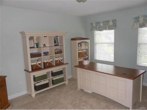 373 Carr Mnr, Ballwin, MO 63021 photo 24
