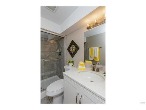 1736 Tralee Ln, Ballwin, MO 63021 photo 44