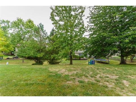 1736 Tralee Ln, Ballwin, MO 63021 photo 51