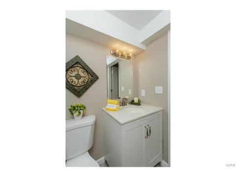 1736 Tralee Ln, Ballwin, MO 63021 photo 45