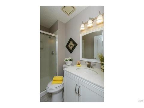 1736 Tralee Ln, Ballwin, MO 63021 photo 22