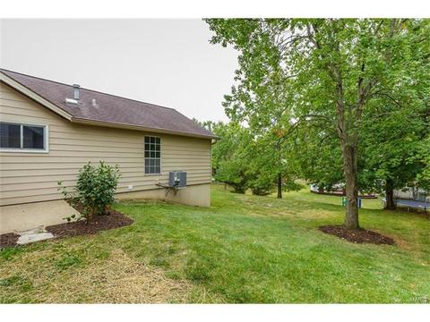 1736 Tralee Ln, Ballwin, MO 63021 photo 46