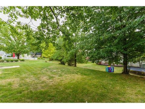 1736 Tralee Ln, Ballwin, MO 63021 photo 49