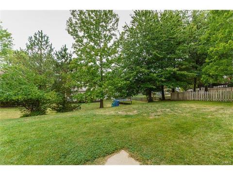 1736 Tralee Ln, Ballwin, MO 63021 photo 53