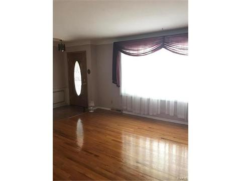 749 Sherwick Ter, Ballwin, MO 63021 photo 19