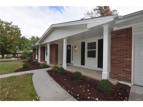 654 Tanglewilde, Ballwin, MO 63011 photo 23