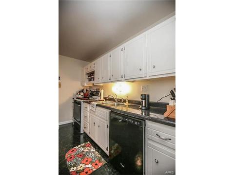 228 Rendina, Ellisville, MO 63011 photo 12